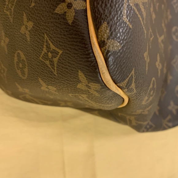 ✨ Louis Vuitton Delightful MM Handbag✨ - Picture 10 of 16